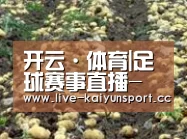 种植基地七