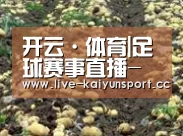 种植基地八(图1)