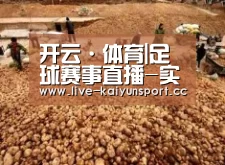 种植基地二